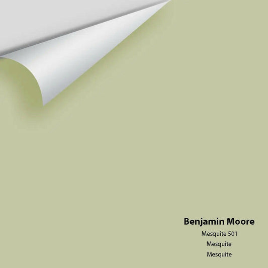 Big Paint Chip - Mesquite 501