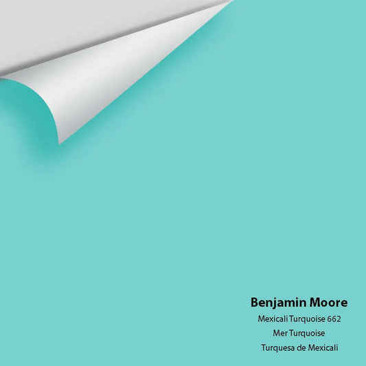Big Paint Chip - Mexicali Turquoise 662