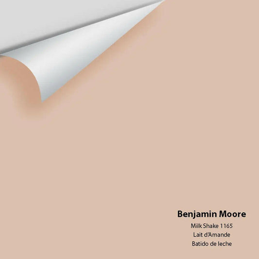Big Paint Chip - Milk Shake 1165