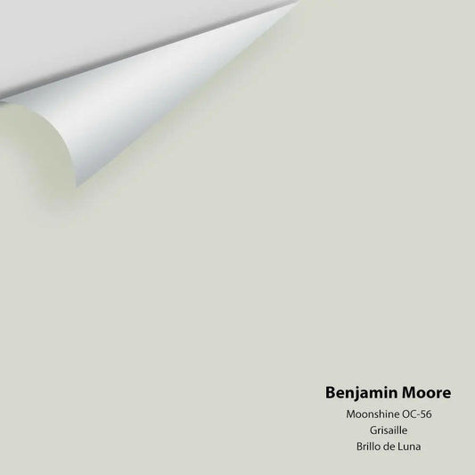 Benjamin Moore - Moonshine 2140-60 / OC-56 Colour Sample