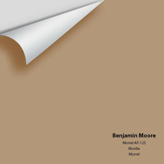Big Paint Chip - Morrel AF-125