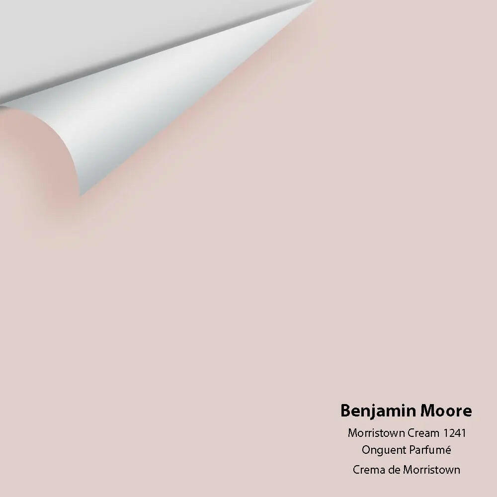 Big Paint Chip - Morristown Cream 1241