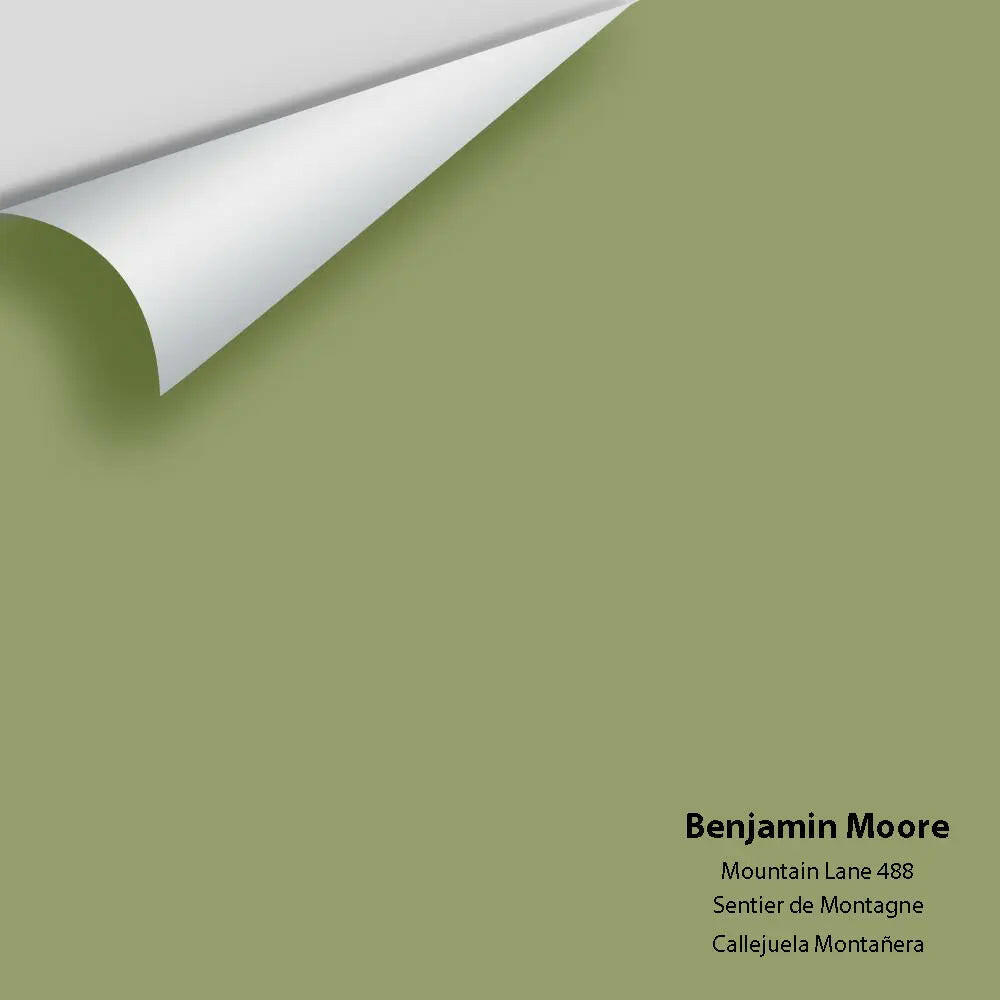 Big Paint Chip - Mountain Lane 488