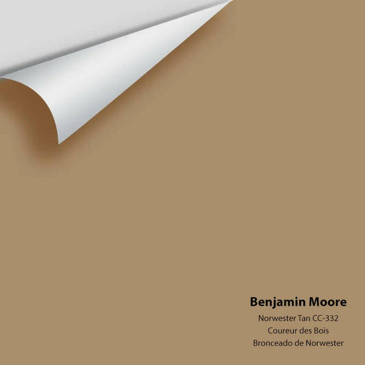 Big Paint Chip - Norwester Tan CC-332 Colour Sample