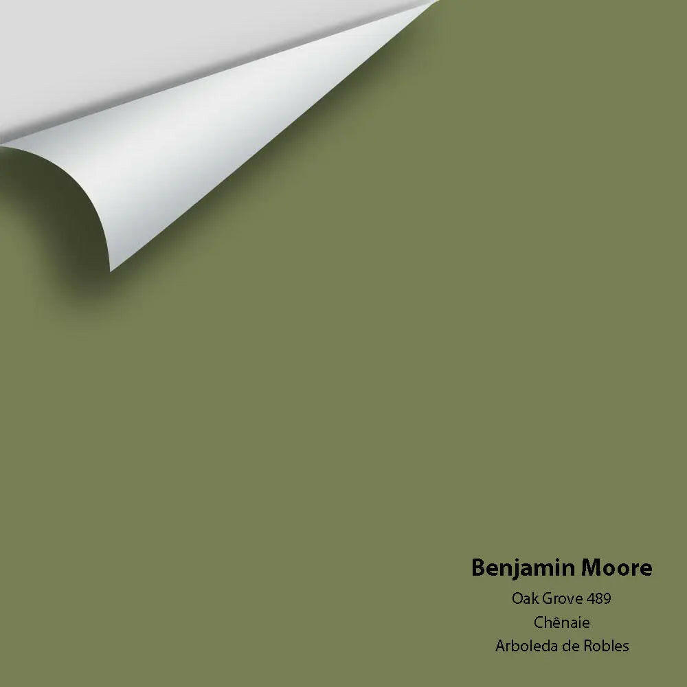 Big Paint Chip - Oak Grove 489