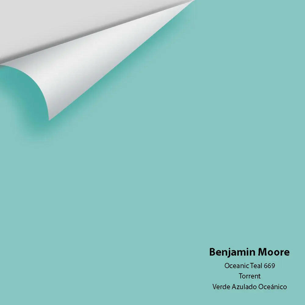 Big Paint Chip - Oceanic Teal 669