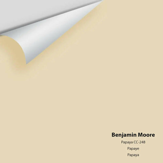 Benjamin Moore - Papaya 957 / CC-248 Colour Sample
