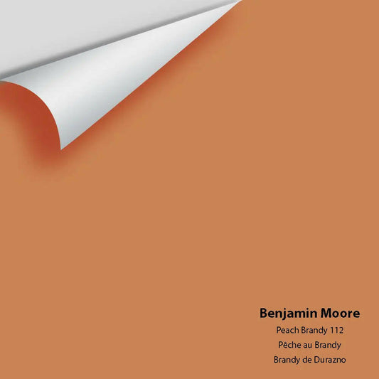 Benjamin Moore - Peach Brandy 112 Colour Sample