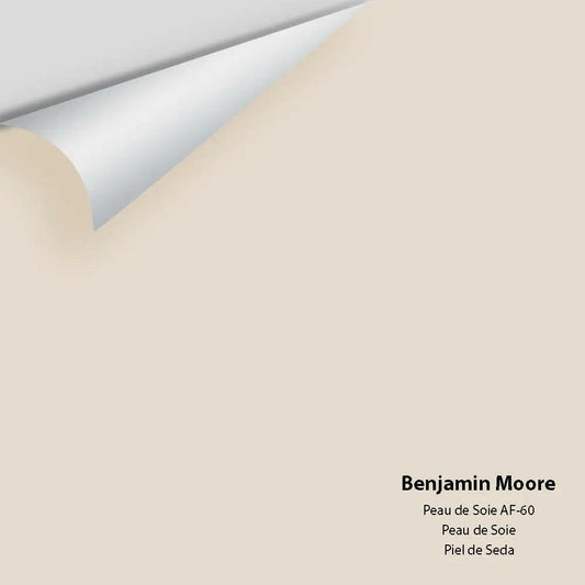 Benjamin Moore - Peau de Soie AF-60 Colour Sample