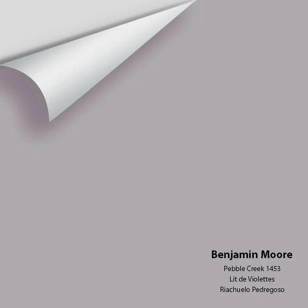 Benjamin Moore - Pebble Creek 1453 Colour Sample