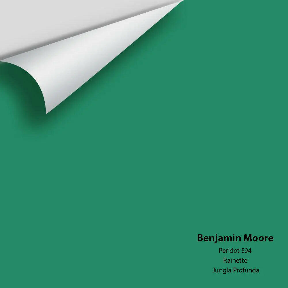 Big Paint Chip - Peridot 594