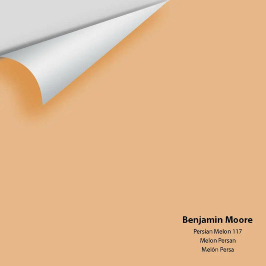 Big Paint Chip - Persian Melon 117