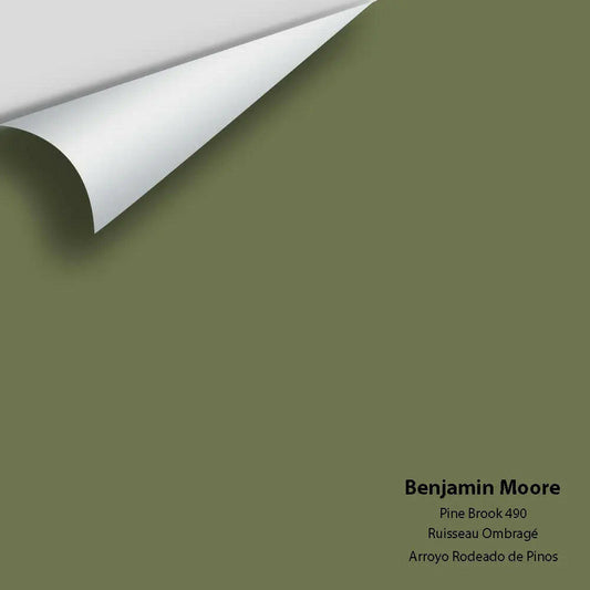 Big Paint Chip - Pine Brook 490