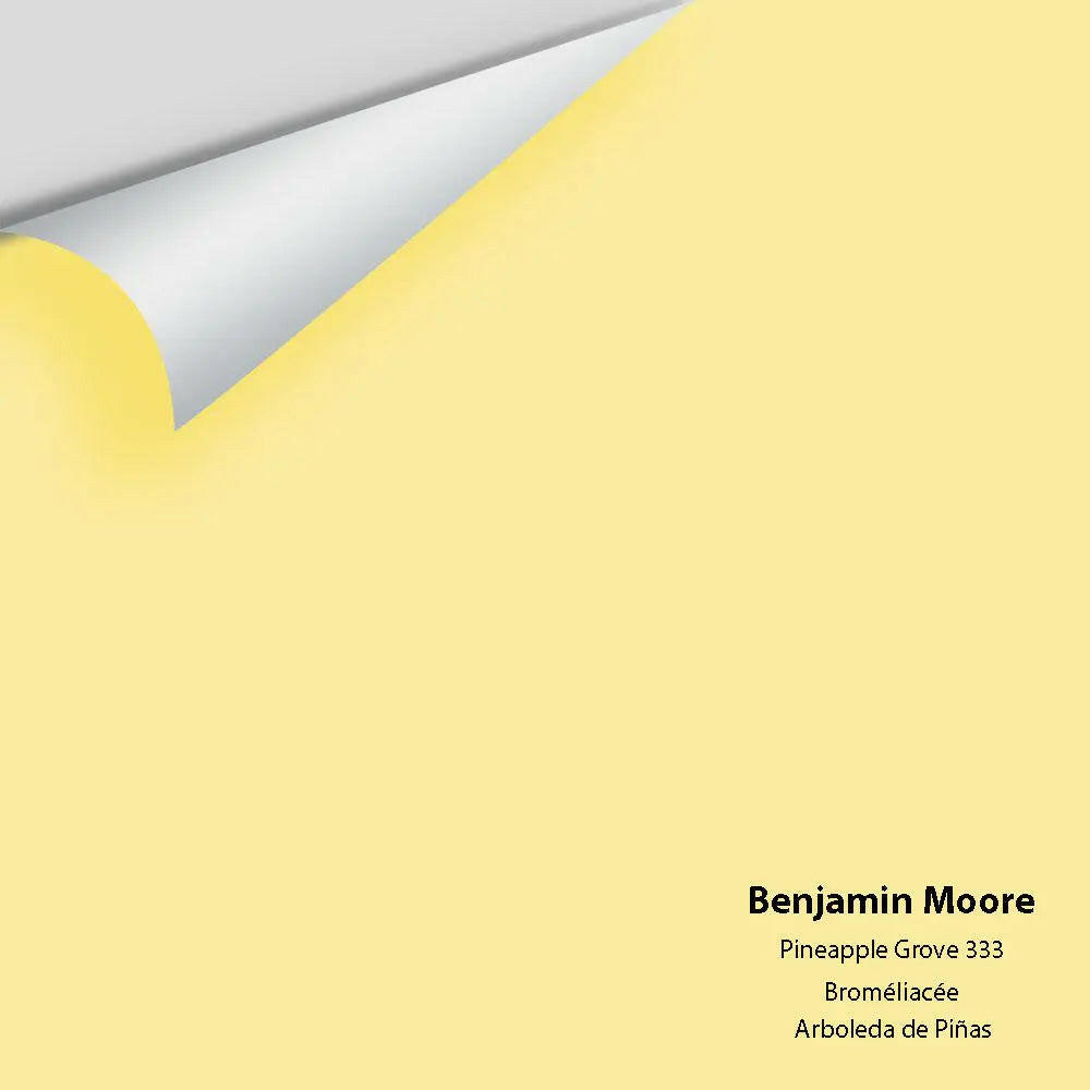 Big Paint Chip - Pineapple Grove 333