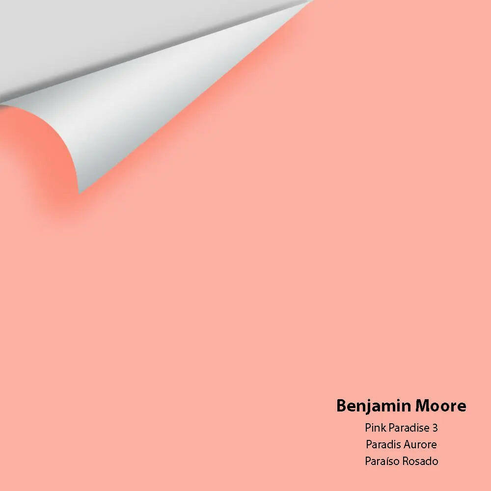 Big Paint Chip - Pink Paradise 3