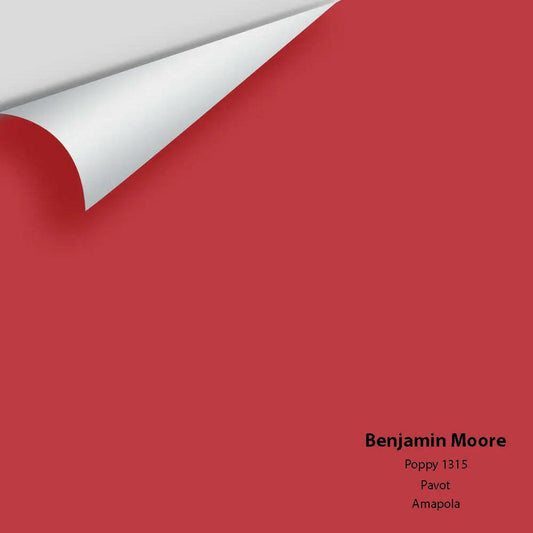Benjamin Moore - Poppy 1315 Colour Sample