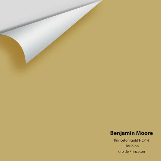 Big Paint Chip - Princeton Gold HC-14