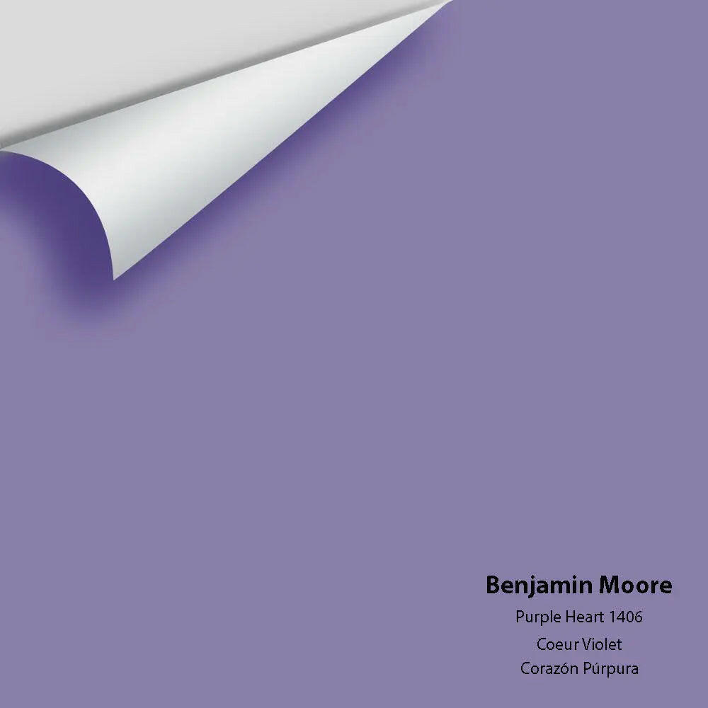 Big Paint Chip - Purple Heart 1406