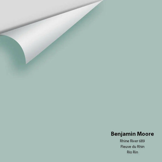 Big Paint Chip - Rhine River 689