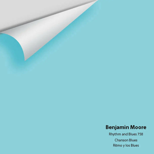 Big Paint Chip - Rhythm and Blues 758