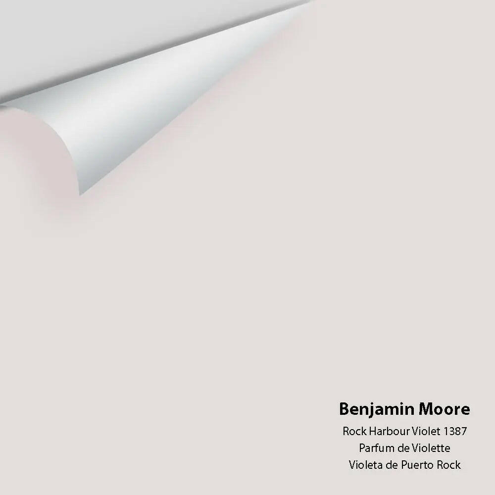 Benjamin Moore - Rock Harbour Violet 1387 Colour Sample