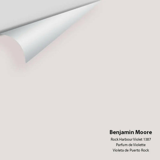 Benjamin Moore - Rock Harbour Violet 1387 Colour Sample