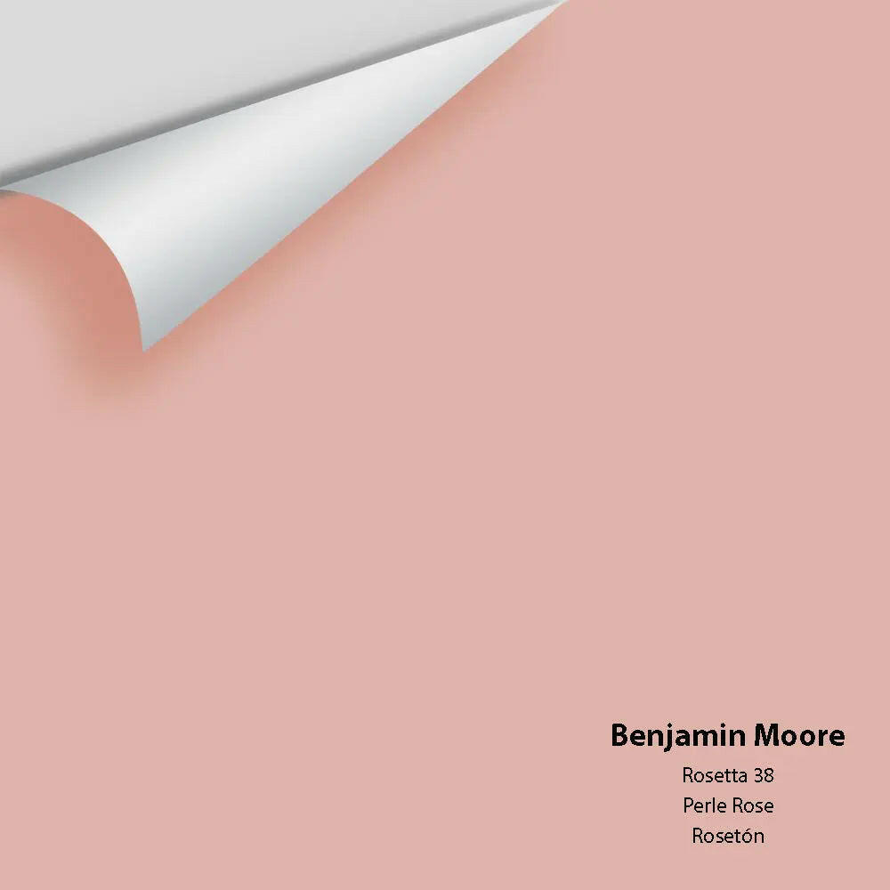 Big Paint Chip - Rosetta 38