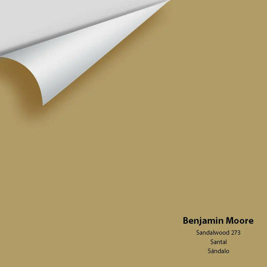 Big Paint Chip - Sandalwood 273