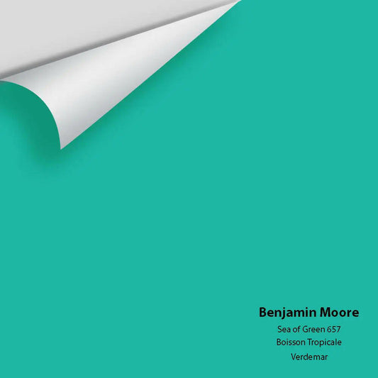 Big Paint Chip - Sea of Green 657