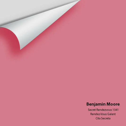 Big Paint Chip - Secret Rendezvous 1341