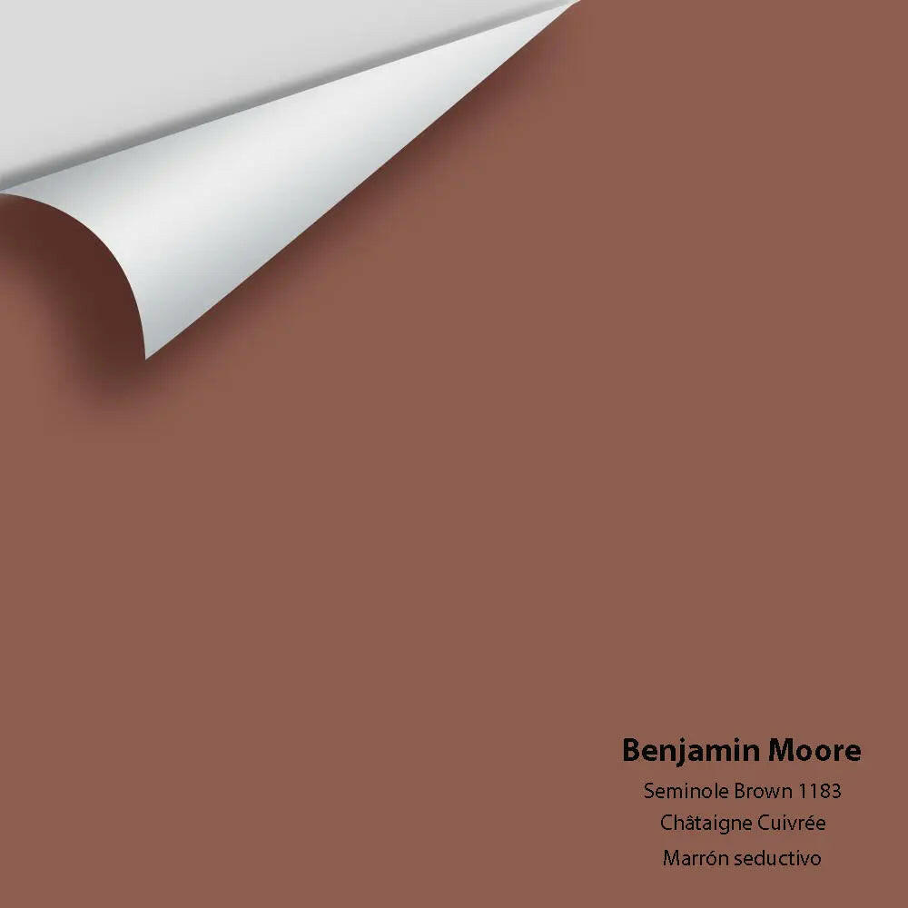 Big Paint Chip - Seminole Brown 1183
