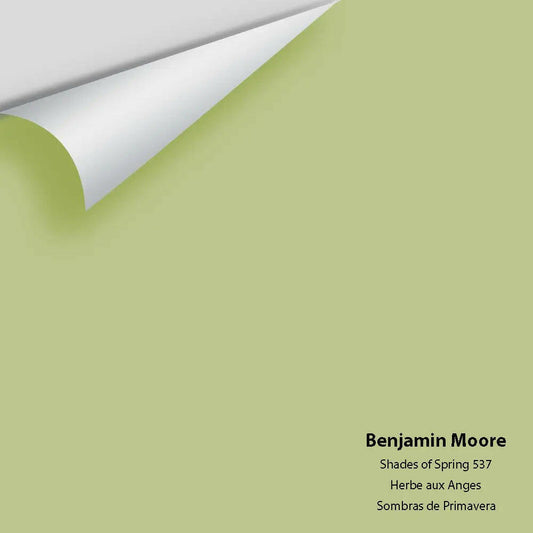 Big Paint Chip - Shades of Spring 537
