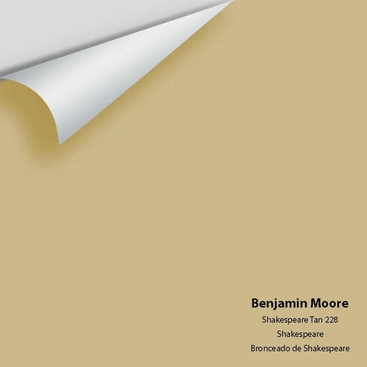 Big Paint Chip - Shakespeare Tan 228
