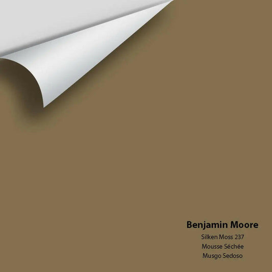 Big Paint Chip - Silken Moss 237