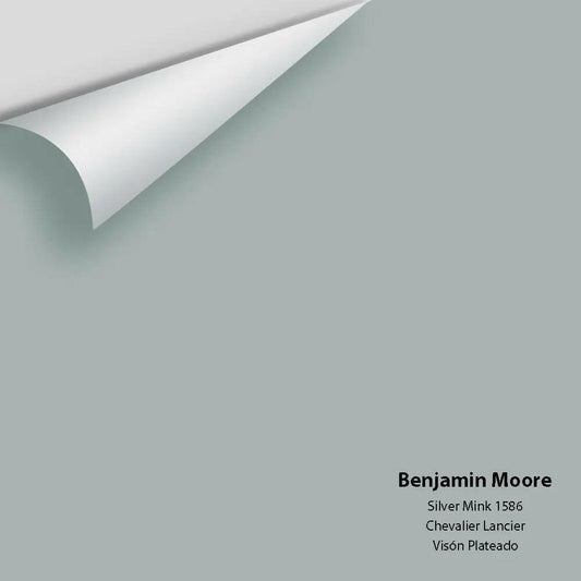 Big Paint Chip - Silver Mink 1586