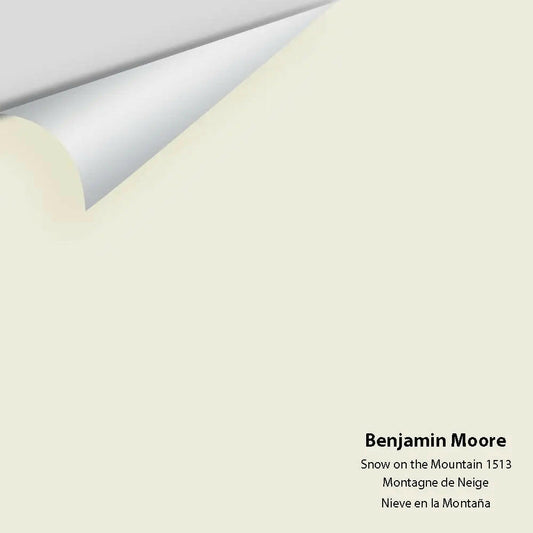 Big Paint Chip - Snow on the Mountain 1513