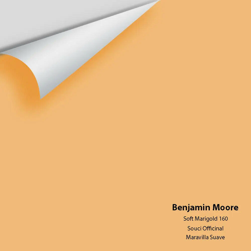 Big Paint Chip - Soft Marigold 160