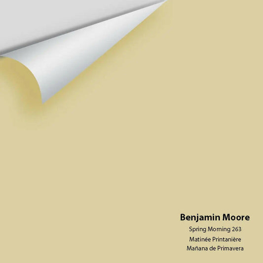 Big Paint Chip - Spring Morning 263