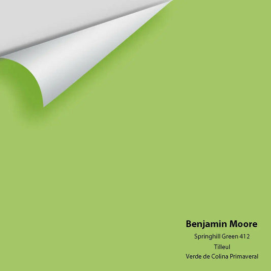 Big Paint Chip - Springhill Green 412
