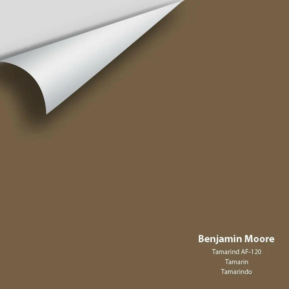 Big Paint Chip - Tamarind AF-120