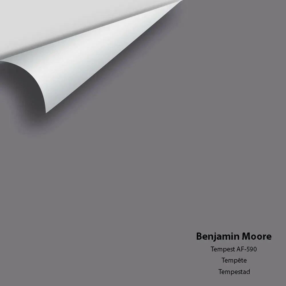 Big Paint Chip - Tempest AF-590