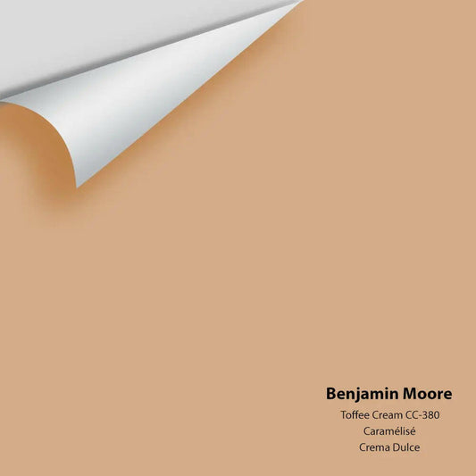Big Paint Chip - Toffee Cream 1138 / CC-380