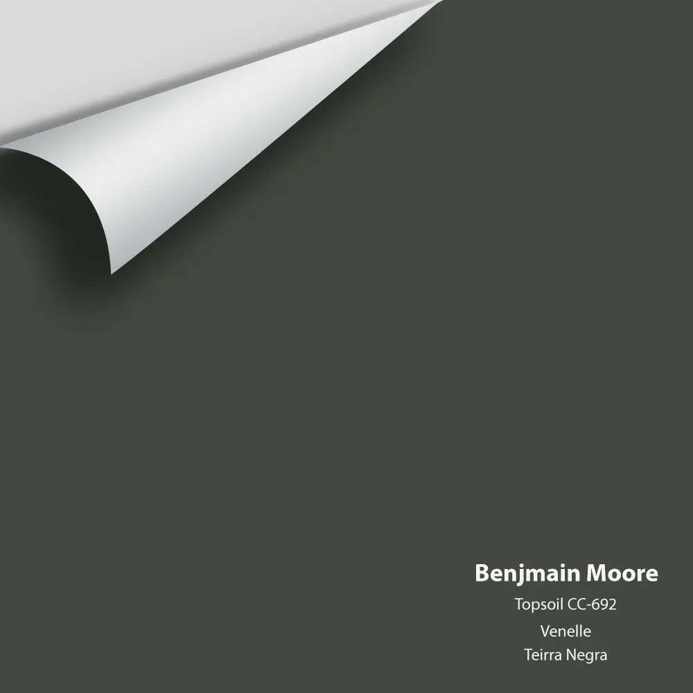 Big Paint Chip - Topsoil CC-692