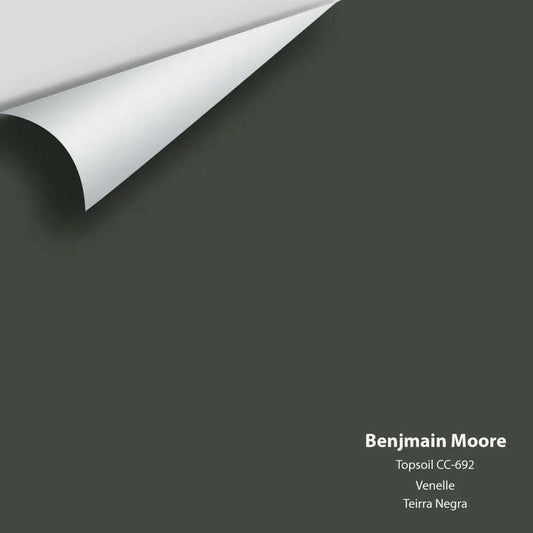 Big Paint Chip - Topsoil CC-692