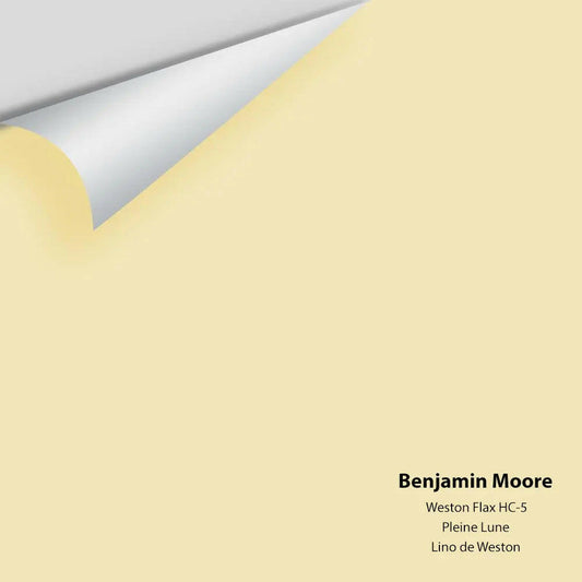 Big Paint Chip - Weston Flax HC-5