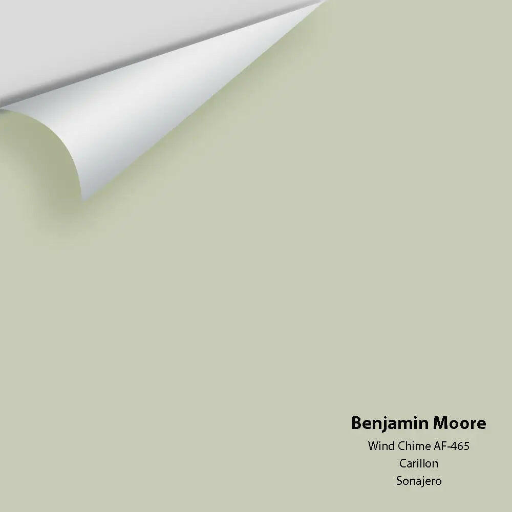 Benjamin Moore - Wind Chime AF-465 Colour Sample