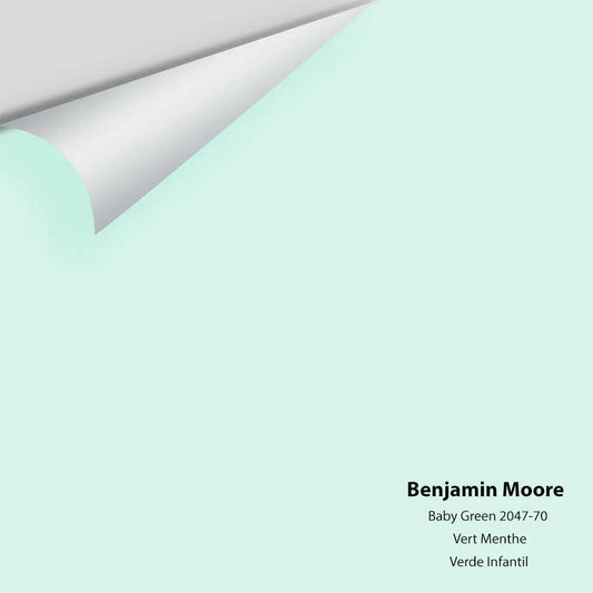 Big Paint Chip - Baby Green 2047-70