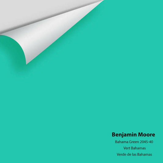 Big Paint Chip - Bahama Green 2045-40