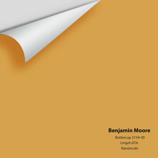 Benjamin Moore - Buttercup 2154-30 Colour Sample