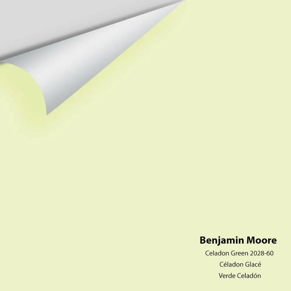 Big Paint Chip - Celadon Green 2028-60